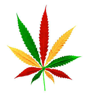 Stay High My Friends #SAB