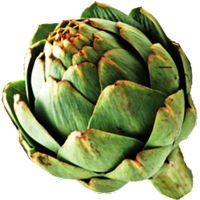 fooddesignlab (@fooddesignlab) 's Twitter Profile