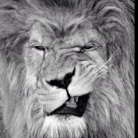 Benjamin Perchet (@benjaminperchet) 's Twitter Profile