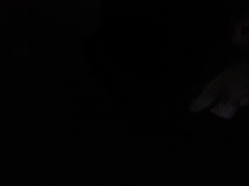 Hawkkyyy's profile picture. 