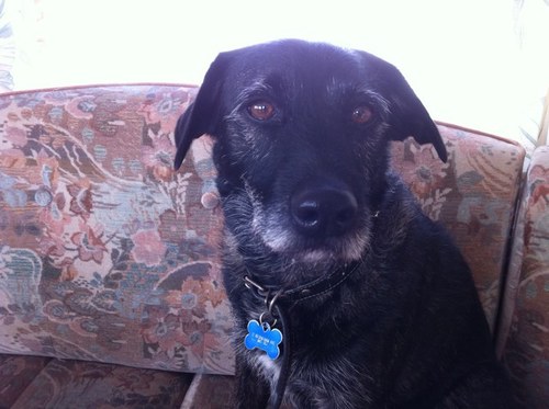 DonlinDonlin's profile picture. 