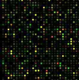 Welcome to the Whitfield Lab Twitter page. I am Chair and Professor of Biomedical Data Science. Updates on happenings, papers, grants and research advances.