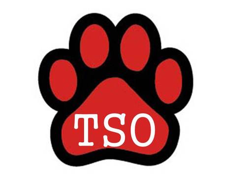 Transfer Student Organization at the University of Georgia