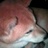 aco22mg's profile image