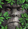 MLM or Network Marketing can be difficult, if don't how to find prospects. Let me help you swing thru the trees & navigate the jungle of prospecting for leads.