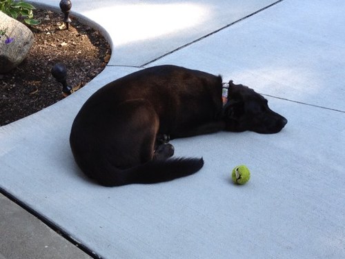 PopiJack's profile picture. Instant reply is stupid and dehumanizing