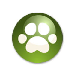 AquiaGarrison's profile picture. 