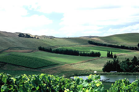 Pyramid Valley Vineyard is 2.2ha biodynamic Pinot Noir & Chardonnay in North Canterbury NZ.Mike Weersing as winemaker,Claudia as vinegrower