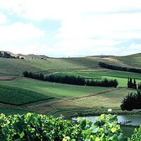 Pyramid Valley Wines (@pyramidvalleynz) 's Twitter Profile