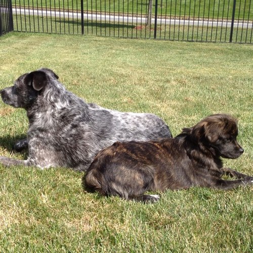 madRPh's profile picture. 