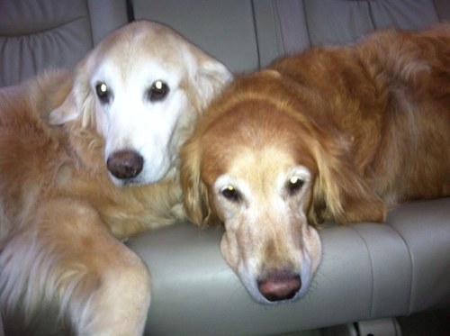 baileyjones50's profile picture. 