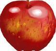 I'm placing my FFSD twitter on hold and tweeting from @ellen_schmitt.  Please hang with me there!