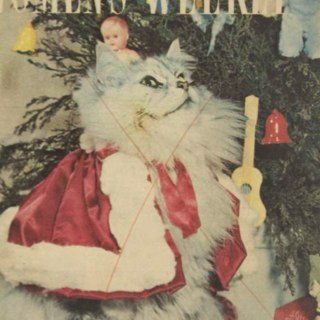 MmeBon's profile picture. Head in a book, beside an empty bottle of wine.