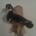 Stephen Wilcher - @SKWilcher - Twitter