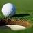 lifeisgolf's profile image