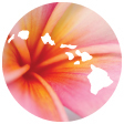 Body Care made with real tropical fruit!  Specializing in Organic Coconut Oil Soaps and Tropical Moisturizers. Please visit our website or call us.