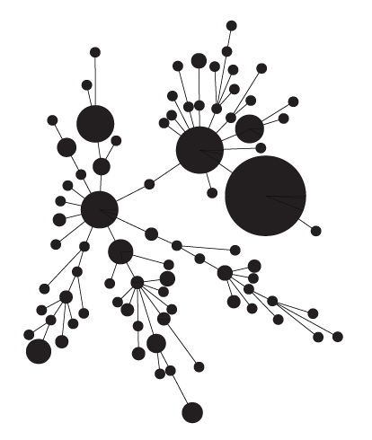 @cpepperell@ecoevo.social
ID doc and researcher on population genetics, ecology and evolution of infectious diseases affecting humans.