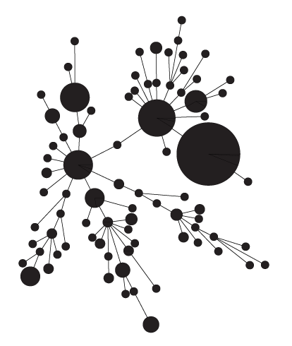 @cpepperell@ecoevo.social 
ID doc and researcher on population genetics, ecology and evolution of infectious diseases affecting humans.