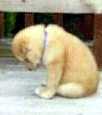 Davidchoi99's profile picture. 그림전공, 방송제작, TV광고제작 경험 등. ~^^