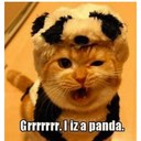 trinity vincent - @TrinityVincent - Twitter