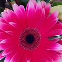 jenni walker - @jenniwalks - Twitter