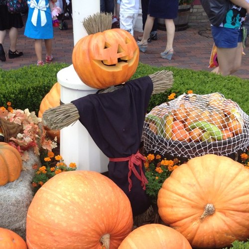 kohei1976kazu's profile picture. 