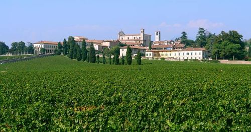 Vuoi ricevere notizie, curiosità e approfondimenti sulla Franciacorta e i suoi vini? Seguici!