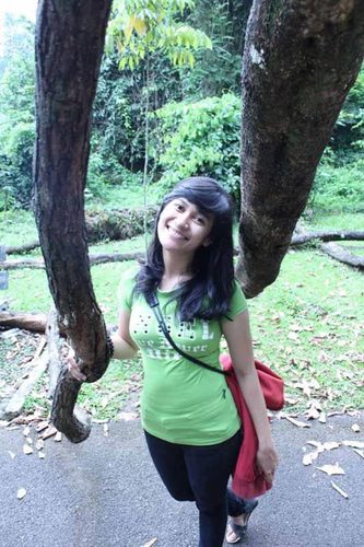 Media Online Otomotif