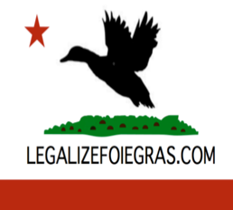 ReverseTheBan's profile picture. 