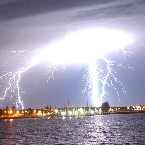 dngreen62's profile picture. 