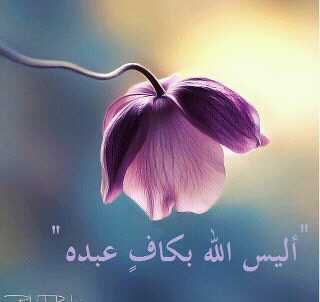‏‎‎@RT_TAM واتشرف بمتابعتكم 
.. ولو قررت الغياب ماراح تغيب عن سمائي..
لك وحدك