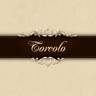 ilTorcolo's profile picture. 