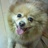 nomo1982's profile image