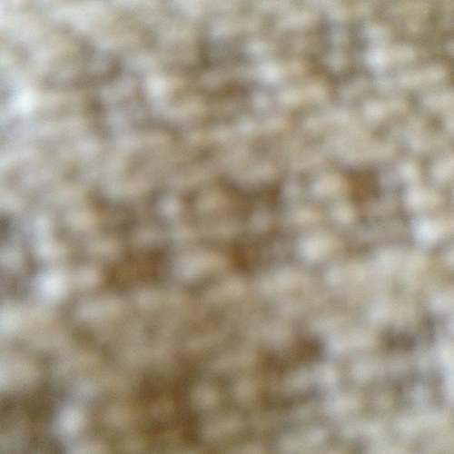 BaljevanShergil's profile picture. 