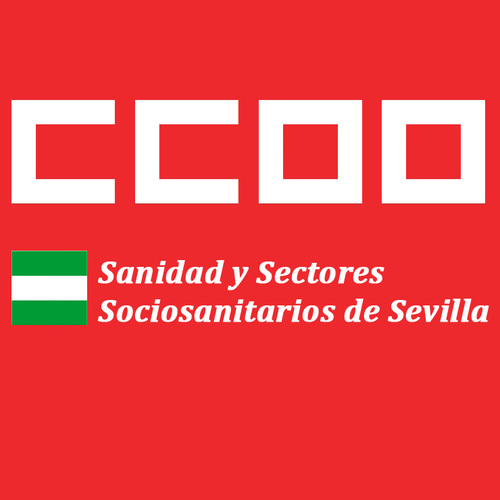 Sindicato Provincial de Sanidad y Sectores Sociosanitarios de Sevilla.
