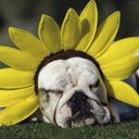 Stacy Dawn Bishop - @bishop0874 - Twitter