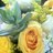 gardencreekCTex's profile image