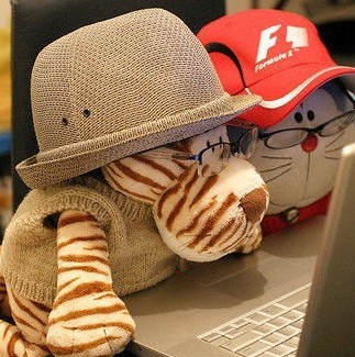 fbicdc's profile picture. 不了。