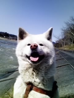 misutan12's profile picture. 