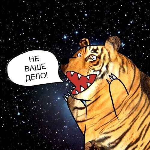 niccck1's profile picture. 