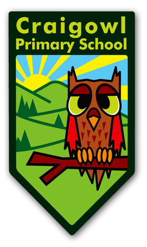 CraigowlPSDundee Profile