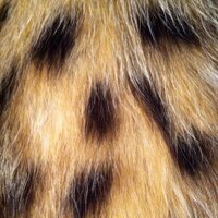 Monique de Cleur (@mdecleur) 's Twitter Profile