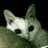 piyopiyo43515's profile image