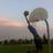 Jordan Pete (@jpete3) 's Twitter Profile