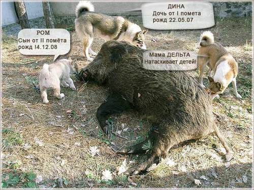 Музыка фильмы ! Приключения