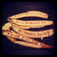 The Ephemeral Dog (@ephemeraldog) 's Twitter Profile Photo