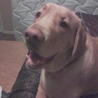 Wade Dukes (@wadedukes) 's Twitter Profile