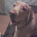 Wade Dukes - @WadeDukes - Twitter