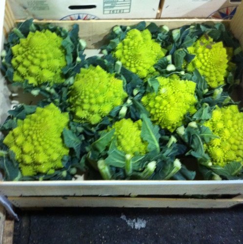 Greens_Produce's profile picture. Qualty Fruit & Vegetables Supplier
