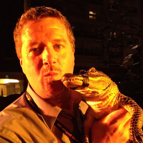 phogan26's profile picture. 